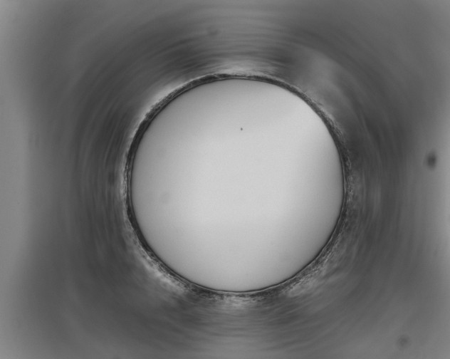 X0000097460848200802291234