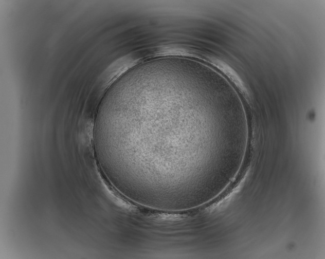 X0000097460849200802291234