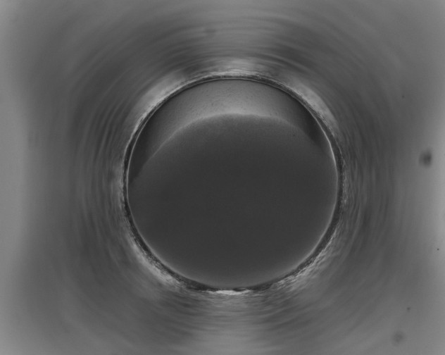 X0000097460850200802291234