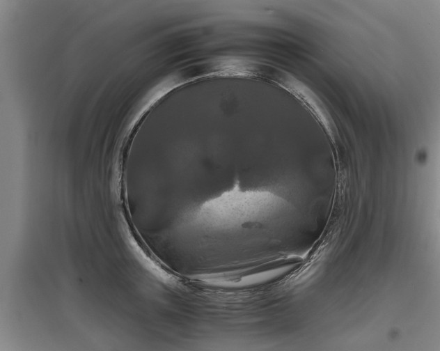 X0000097460851200802291234