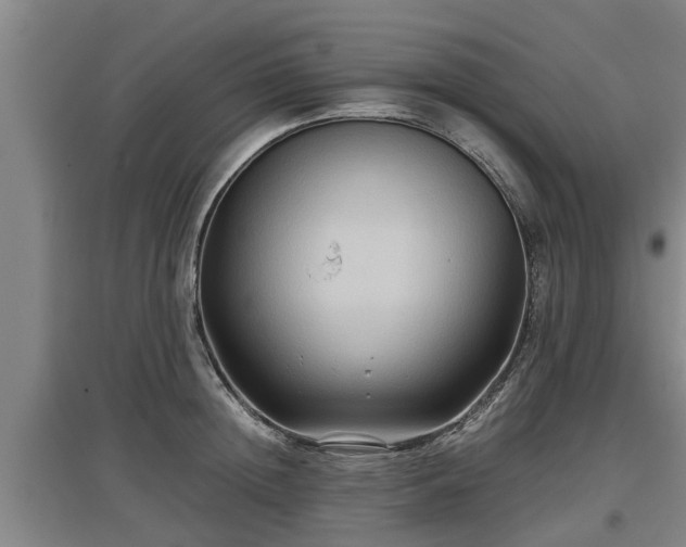 X0000097460852200802291234