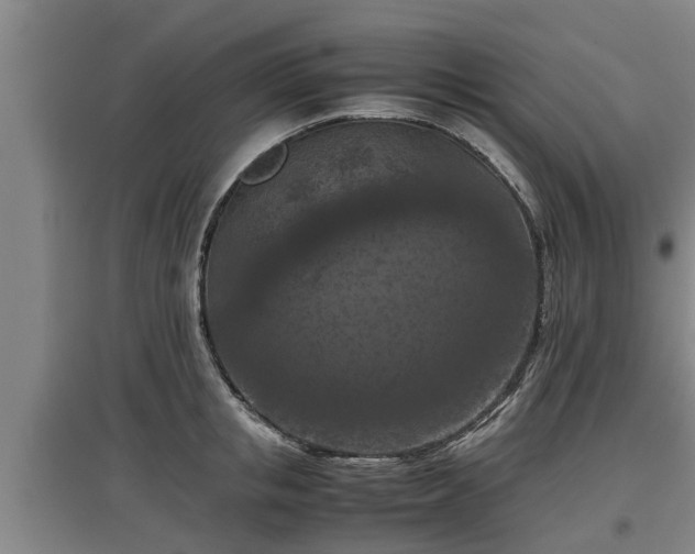 X0000097460853200802291234