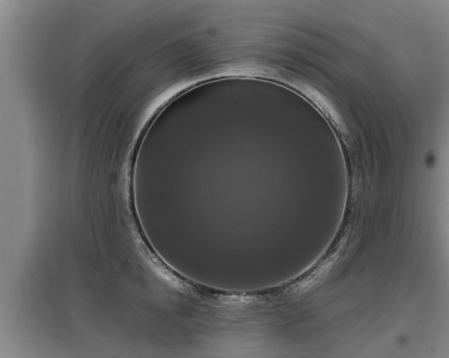 X0000097460854200802291234