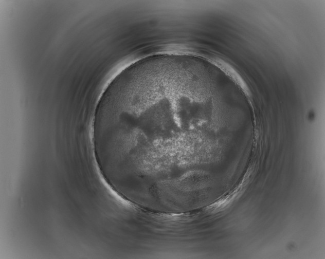 X0000097460855200802291234