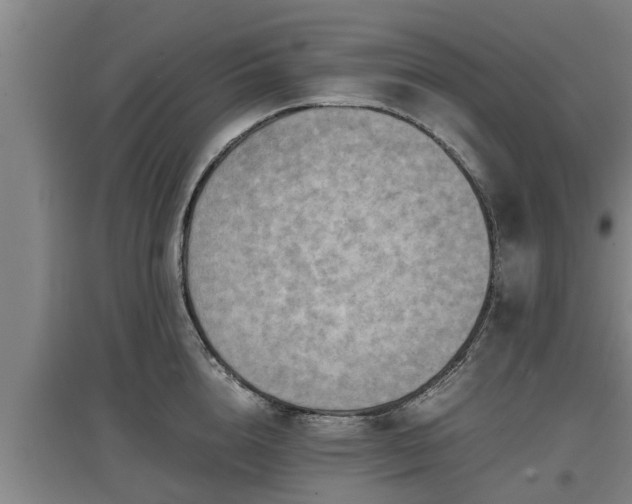 X0000097460856200802291234