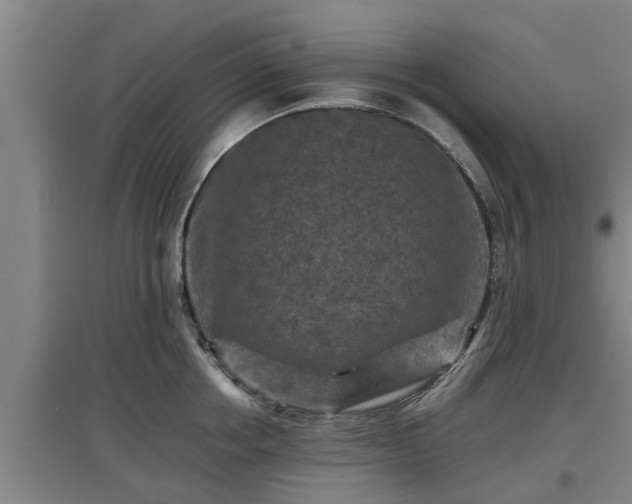 X0000097460858200802291234