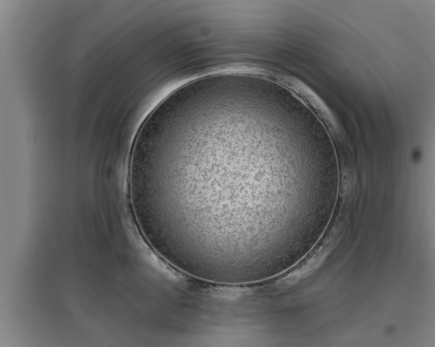 X0000097460860200802291234