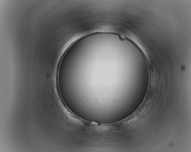 X0000097460861200802291234