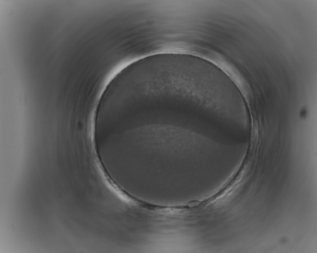 X0000097460862200802291234