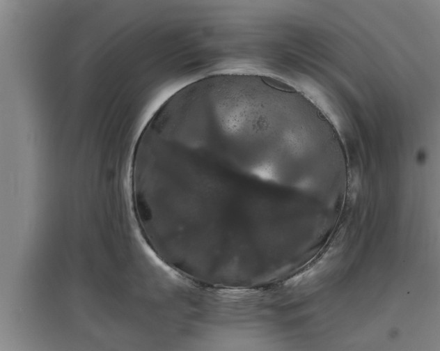 X0000097460863200802291234