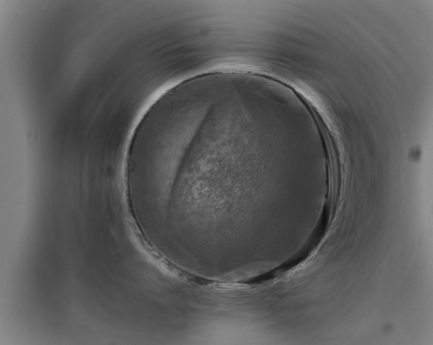 X0000097460864200802291234