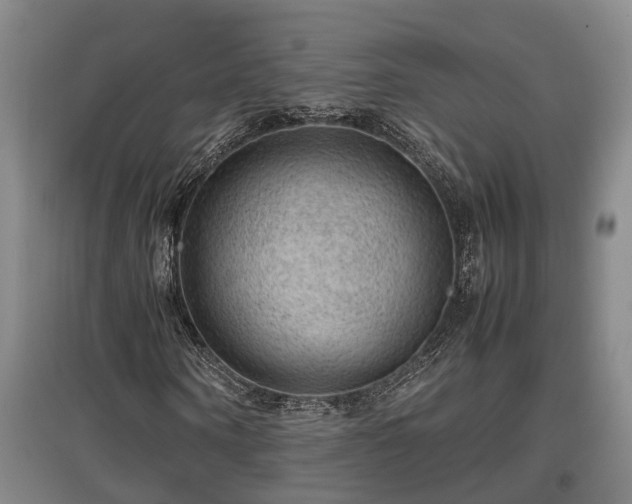 X0000097460866200802291234