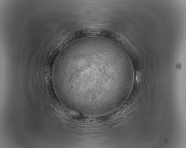 X0000097460867200802291234