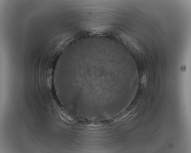 X0000097460868200802291234