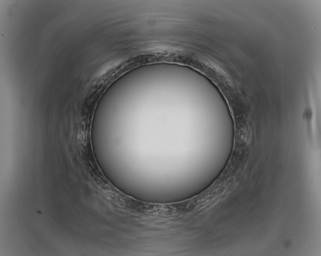 X0000097460869200802291234