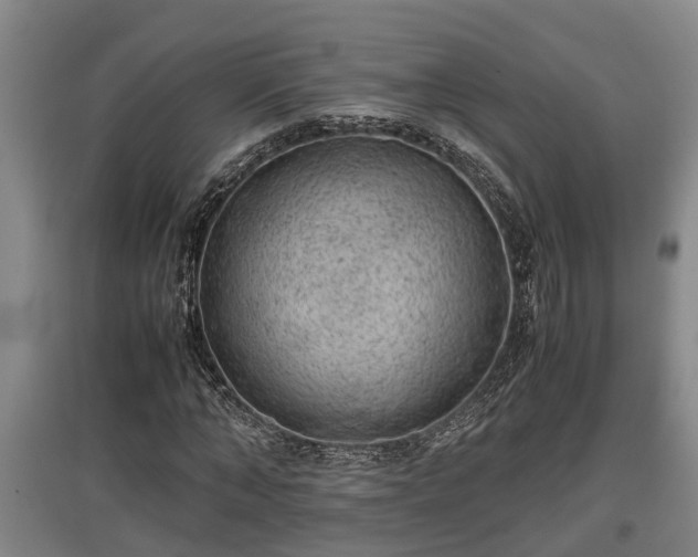 X0000097460870200802291234