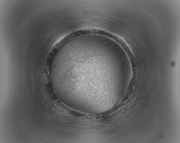 X0000097460871200802291234