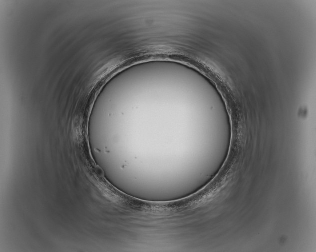 X0000097460873200802291234