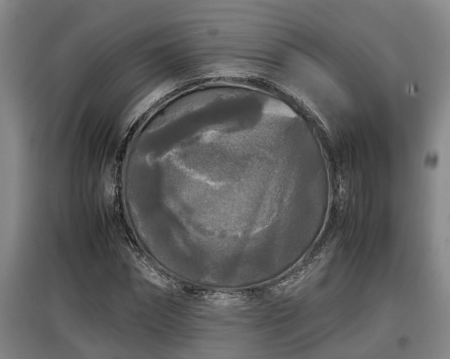 X0000097460874200802291233