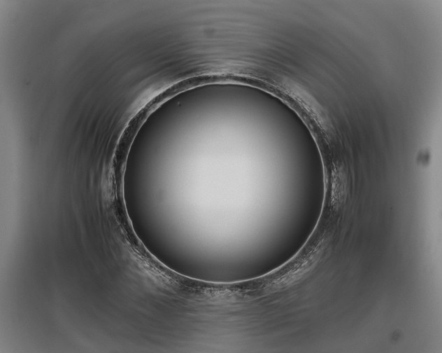 X0000097460876200802291233