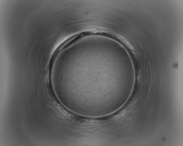 X0000097460877200802291233