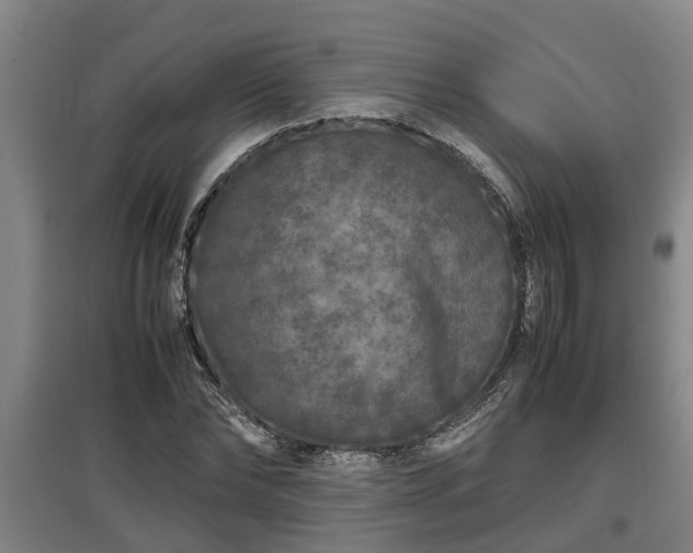 X0000097460878200802291233