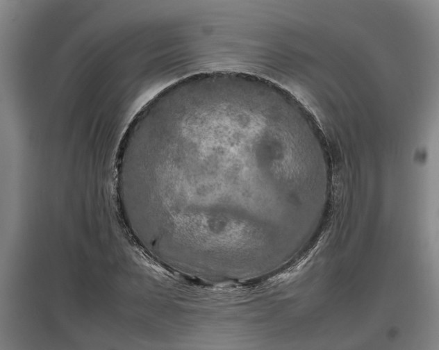 X0000097460879200802291233