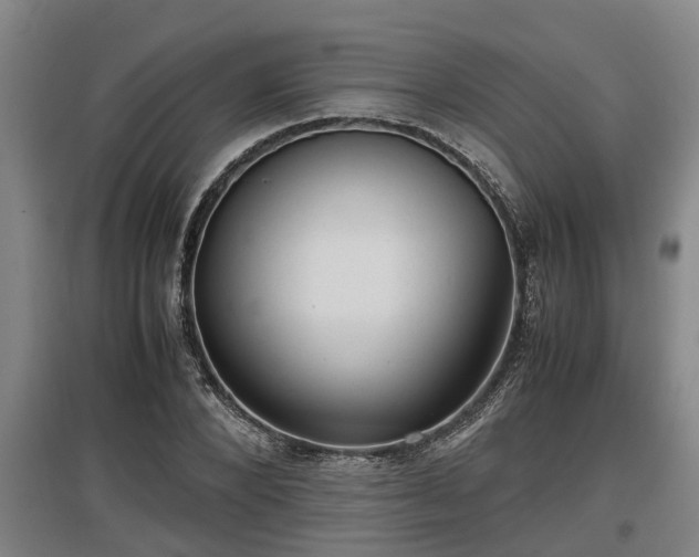 X0000097460880200802291233