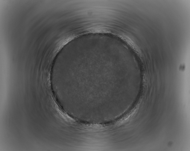 X0000097460881200802291233