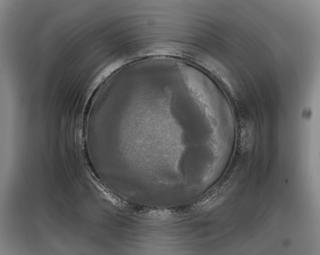 X0000097460882200802291233