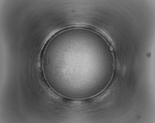 X0000097460883200802291233