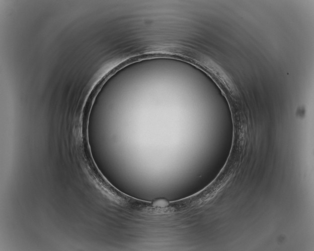 X0000097460884200802291233