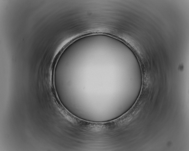 X0000097460886200802291233