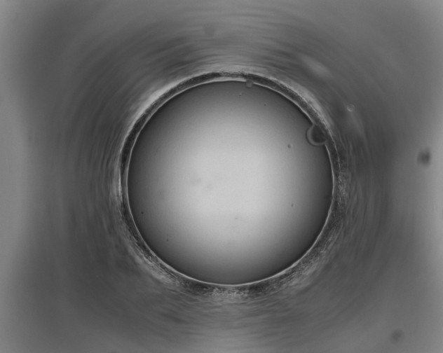 X0000097460887200802291233