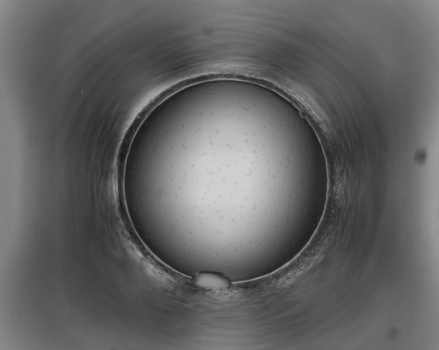 X0000097460888200802291233