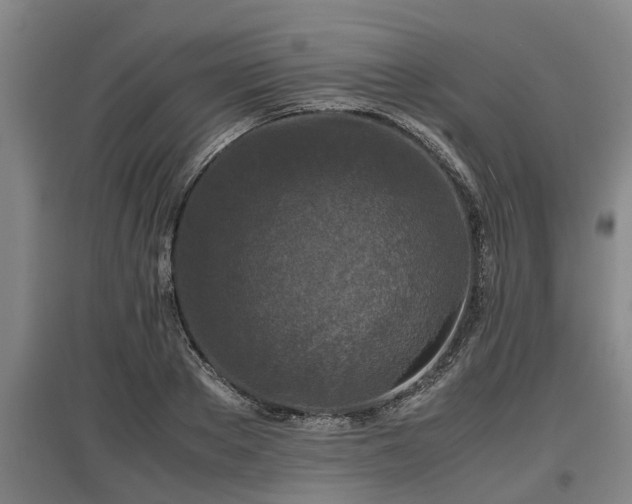 X0000097460889200802291233