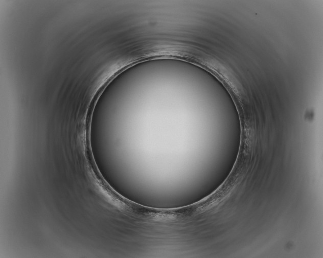 X0000097460890200802291233