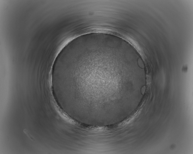 X0000097460891200802291233