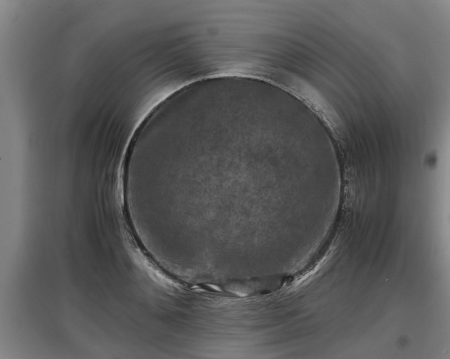 X0000097460892200802291233