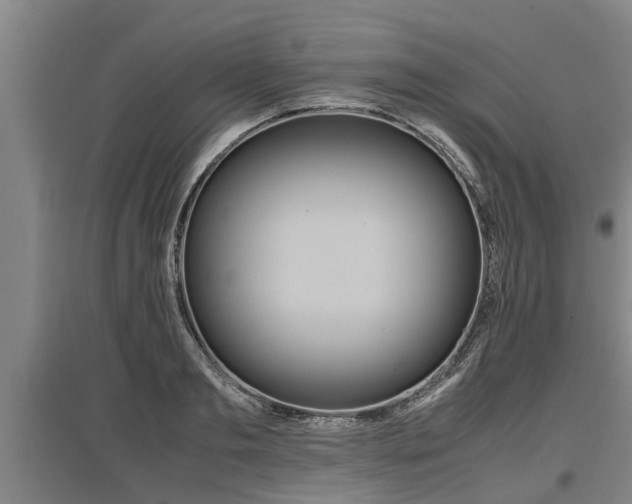 X0000097460893200802291233