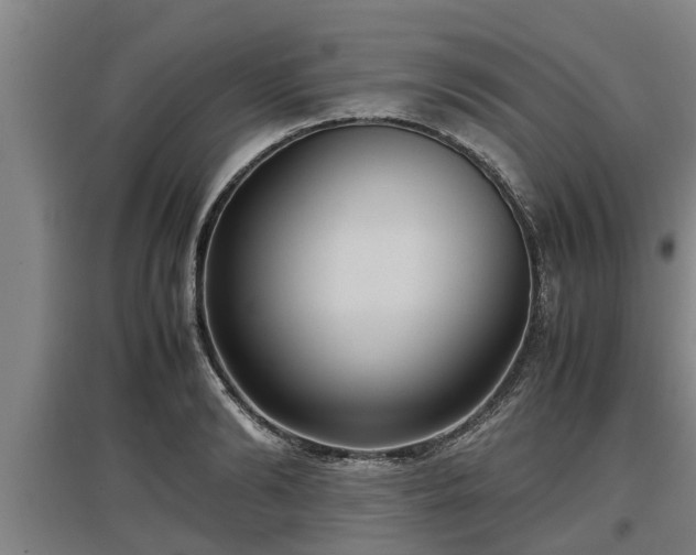 X0000097460894200802291233