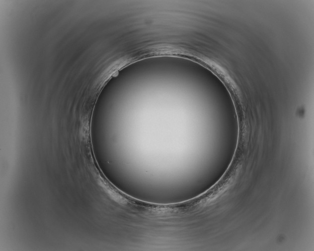 X0000097460897200802291233