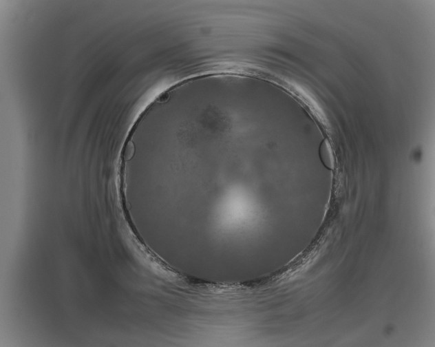 X0000097460899200802291233