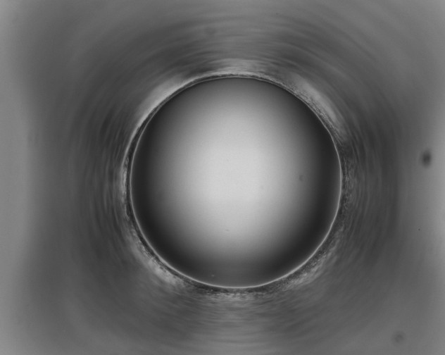 X0000097460900200802291233