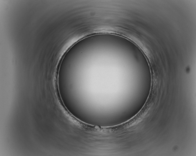 X0000097460901200802291233