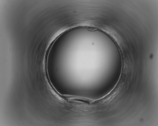 X0000097460902200802291233