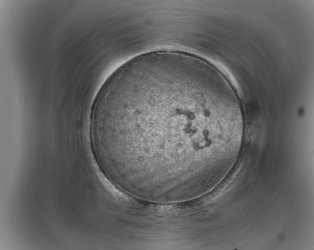 X0000097460903200802291233