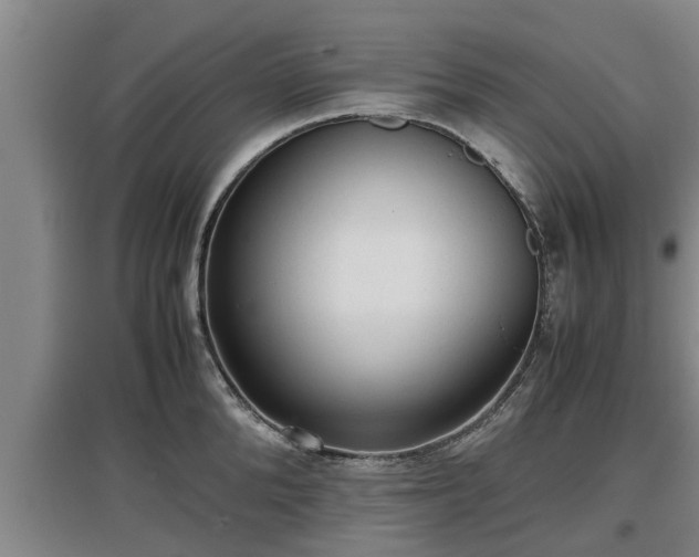 X0000097460904200802291233