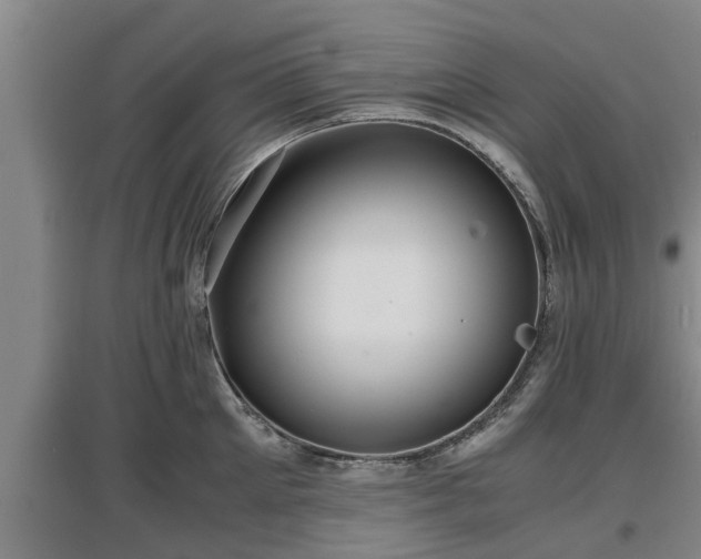 X0000097460905200802291233