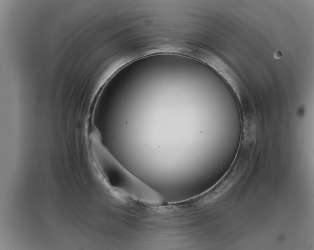 X0000097460906200802291233